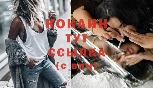 СК Беломорск