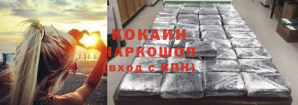 крисы Белокуриха