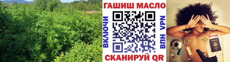 ТГК THC oil Благодарный