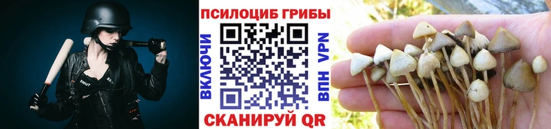 купить закладку  Благодарный  OMG tor  Галлюциногенные грибы MAGIC MUSHROOMS 